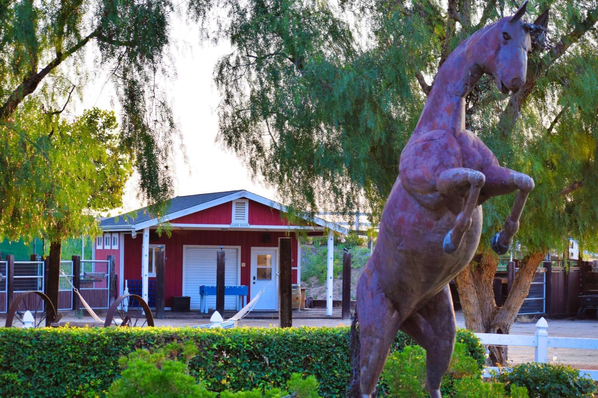 Peppertree Lane Ranch -- Seven-Acre Ranch In The Heart Of Wine Country Hotel Temecula Ngoại thất bức ảnh