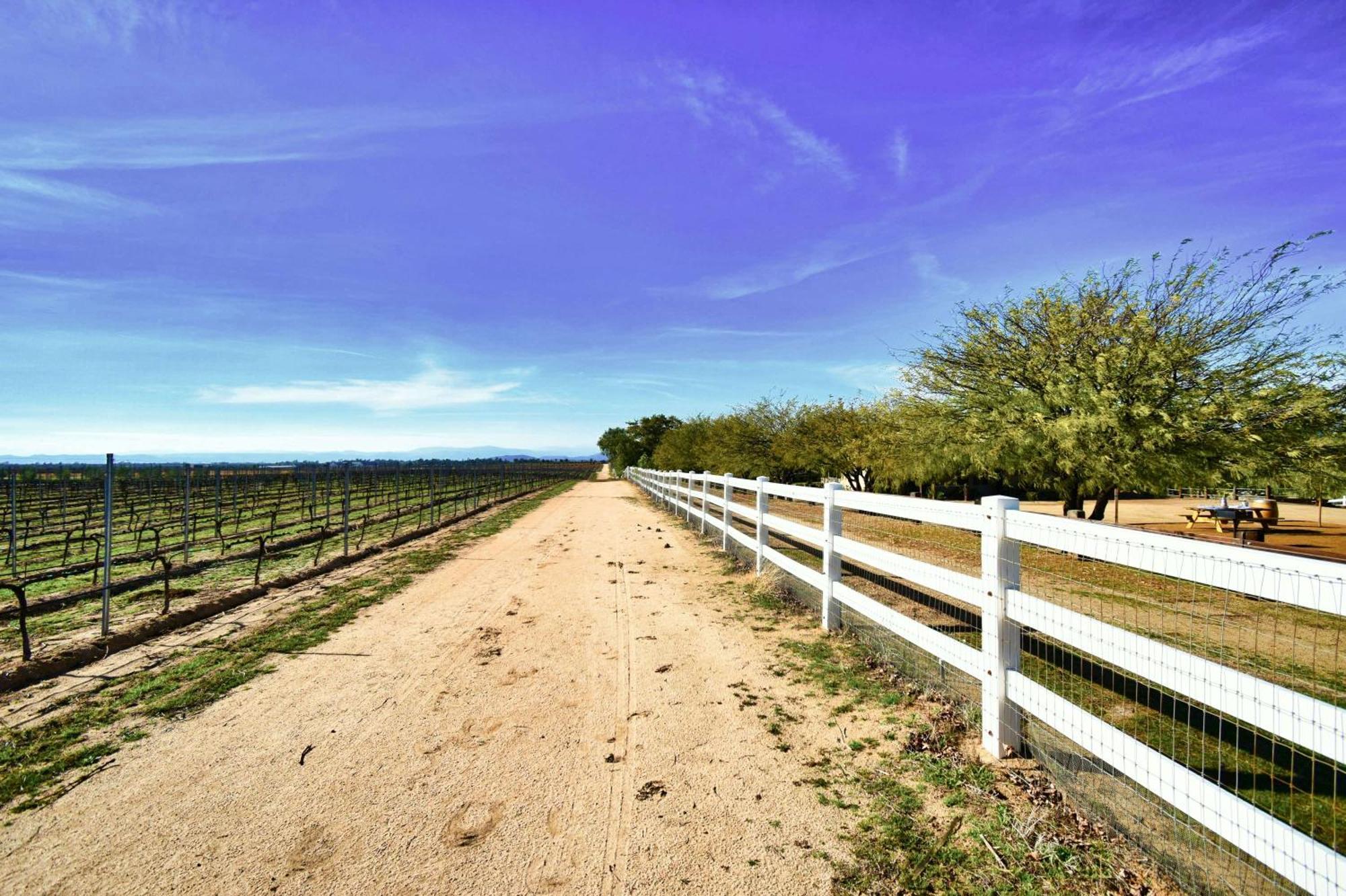 Peppertree Lane Ranch -- Seven-Acre Ranch In The Heart Of Wine Country Hotel Temecula Ngoại thất bức ảnh
